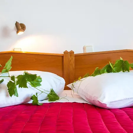 Hotel Irini's Fteoura