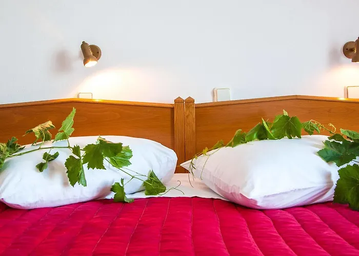 Hotel Irini's Fteoura